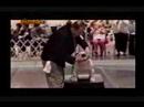 Bulldogs Bulldogs