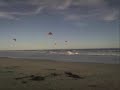 Shawn Richman at Waddell Creek