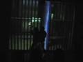 しろくま動画7