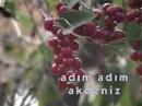 Ad?m Ad?m Akdeniz Sinevizyon Teaser Ad?m Ad?m Akdeniz Sinevizyon Teaser