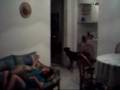 videos de BARRACA DOS NEGÕES 0001