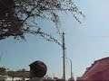 terremoto en pisco  3 