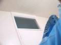 Budgies Eating Man Alive!