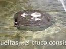 La vida da vueltas La vida da vueltas