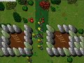videos de Tibia - Carlin invade Ab'Dendriel