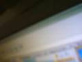 gaiaonline my next thing