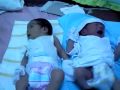 newly - born
