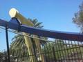 Bush Gardens.wmv