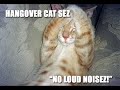 More ninja comedy More ninja comedy