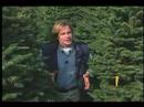 Christmas Trees Christmas Trees