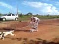 Carro de supermercado com tra��o animal