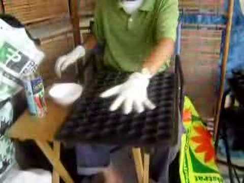 Panduan Menyemai Benih Cili Fertigasi