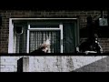 lethal bizzle   babylons burning