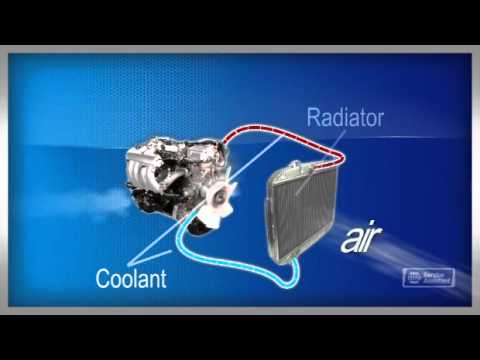 how to service cooling system