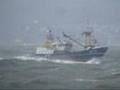 Brixham Trawler BM10 'Emilia M Emiel' In Rough Seas 17/04/08