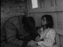 Cold Comfort (excerpt)