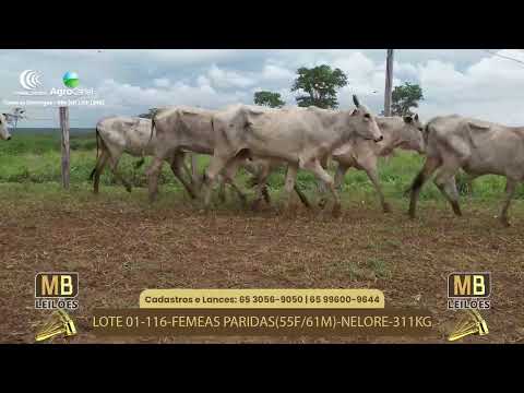 526� LEIL�O VIRTUAL MB LEIL�ES