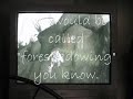 Shadow of the Colossus - Phaedra the Horse (#4)