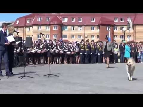 YouTube &ETH;&cent;&Ntilde;&ETH;&micro;&ETH;&sup1;&ETH;&raquo;&ETH;&micro;&Ntilde;