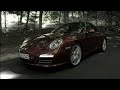 PV09_0002_en.mov