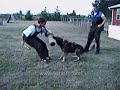Schutzhund Protection Training Schutzhund Protection Training