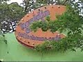  Bouldin Creek Coffeehouse Austin Beer Bar Beerjoint Honky Tonk Saloon Tavern Icehouse Watering Hole