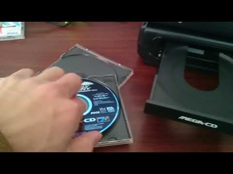 動画