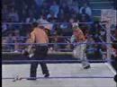 WWE, NWA-TNA, ECW, CZW, WWF, WCW, XPW, AAA,CMLL