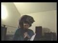 comedy27 afv comedy
