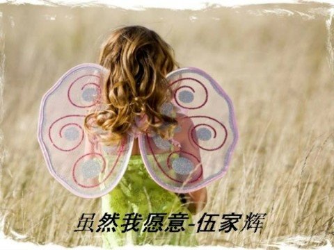 虽然我愿意-伍家辉