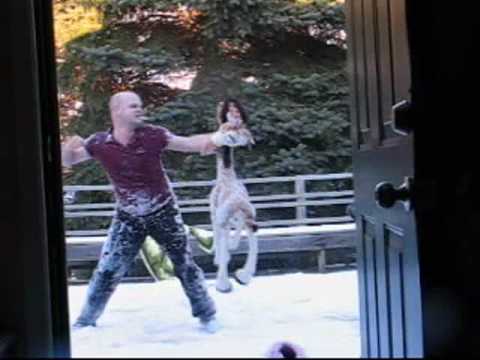 Fighting a Giraffe...