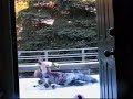 fighting-giraffe.html