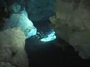 Mexico cenotes Mexico cenotes