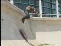 Best of Rodney Mullen, Daewon song,Mike Vallely, Bam Magera Best of Rodney Mullen, Daewon song,Mike Vallely, Bam Magera