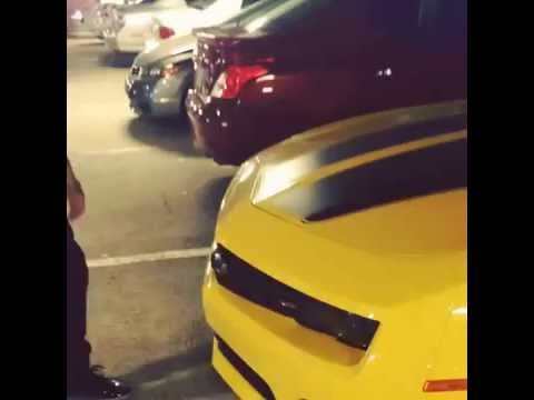 Bumble bee wake the fuck up!!!!!!!