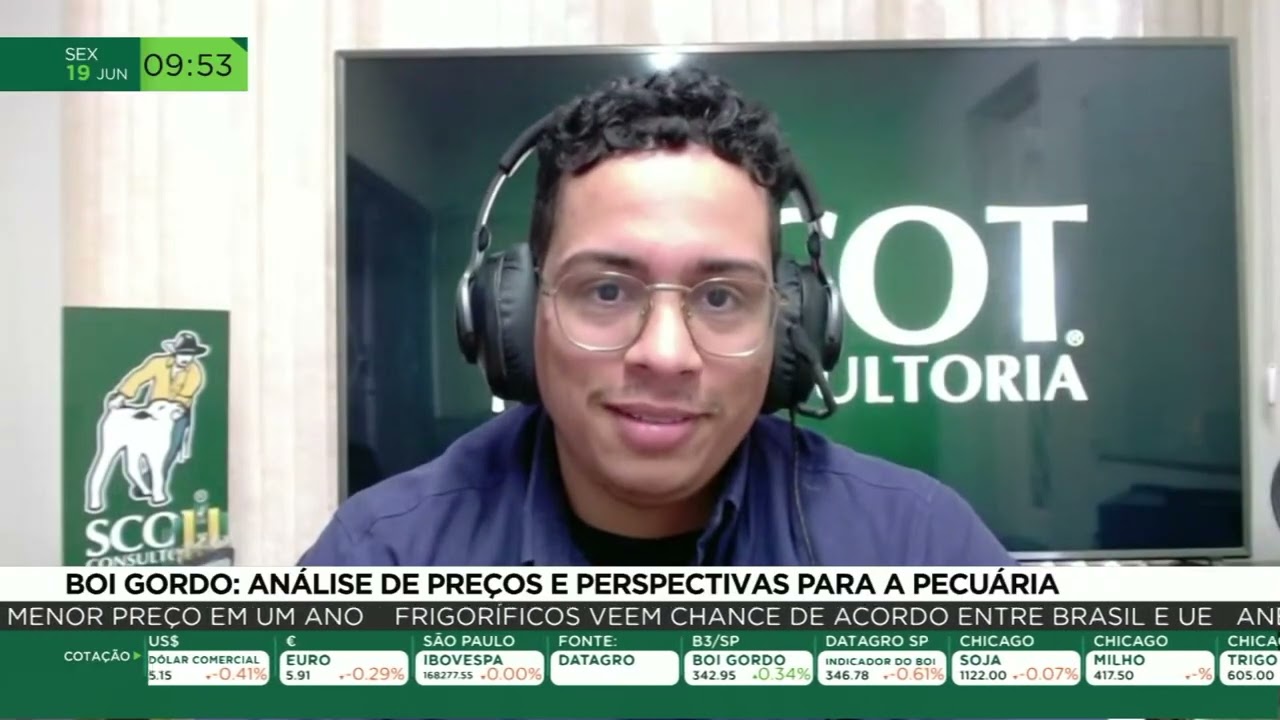 Boi gordo: o que esperar dos preços e do mercado nos próximos meses?