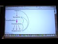 #18 Biochemistry Sig