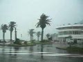 A Typhoon　no,4