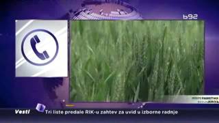 Aflatoksin ponovo u Srpskom kukuruzu