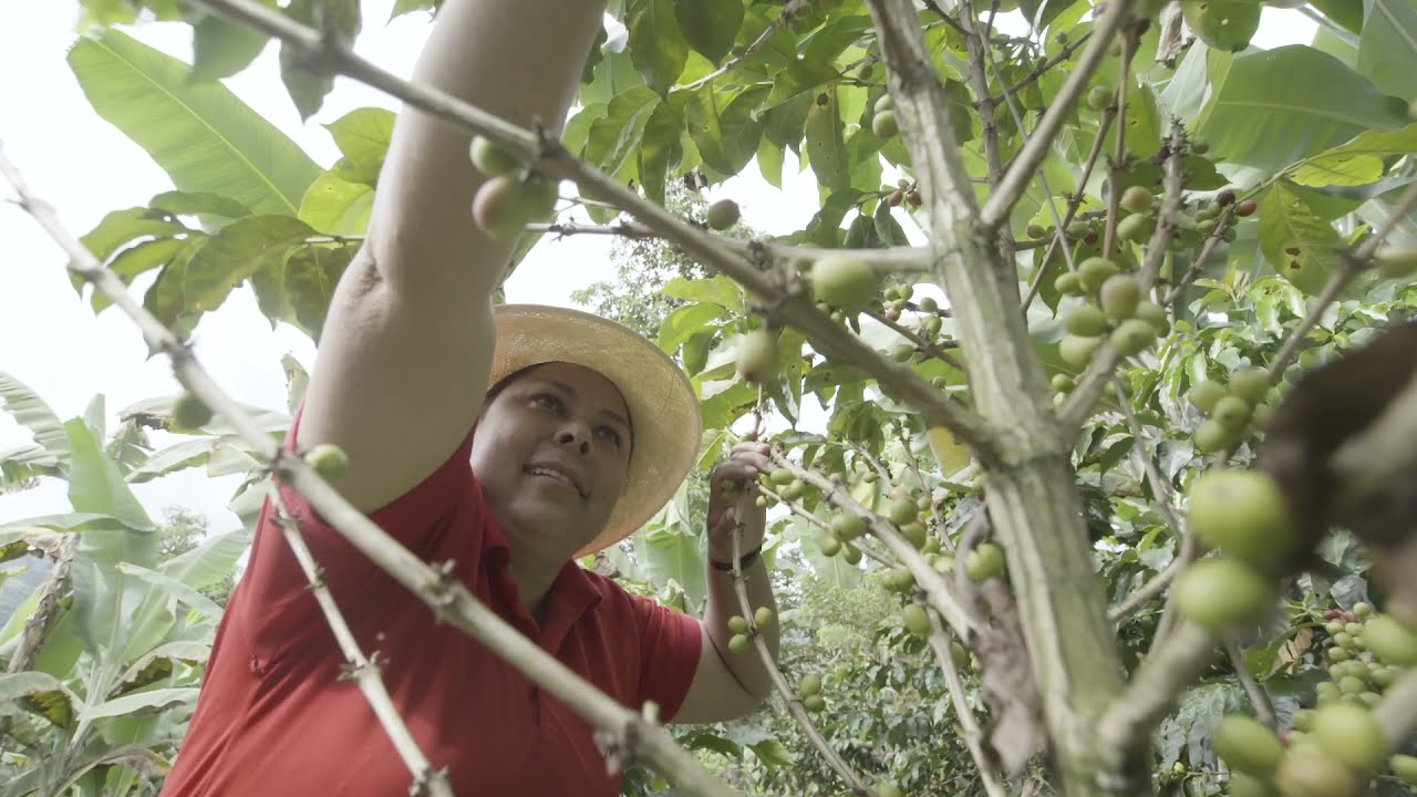 CATEGORÍA EMPRENDIMIENTO RURAL EN EL FAMIEMPRESARIO INTERACTUAR 2021