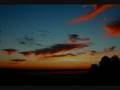Unforgotten Halo song