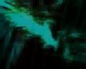 Eedl - False Reprise