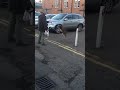 AMAZING ACROBATIC DOG...