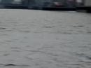 BASE OF BAY BRIDGE DELTA TOWER HIT BY COSCO BUSAN FREIGHTER