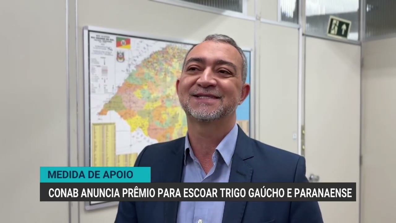 Conab destina prêmio para escoar trigo do RS e PR devido aos preços baixos