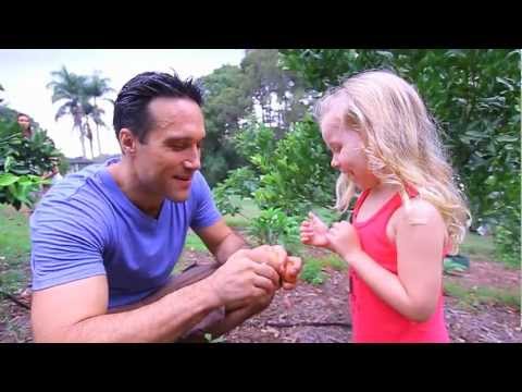 See video