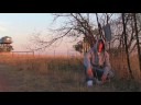 Vankwish and Scots - 