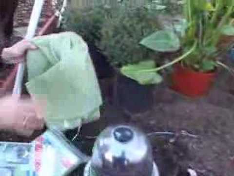 Cold Frames