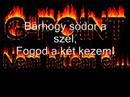 Nem hittem el