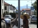 SIMONE PIERGENTILI E LA SUA ASINA A LUCCA PASSANDO DA ALTOPASCIO PERCORRENDO LA STRADA FRANCIGENA FINO A SANTIAGO DI COMPOSTELA